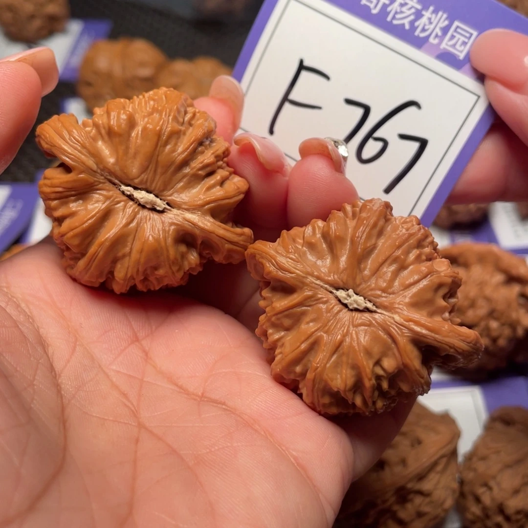 把件桃核767号白狮子44