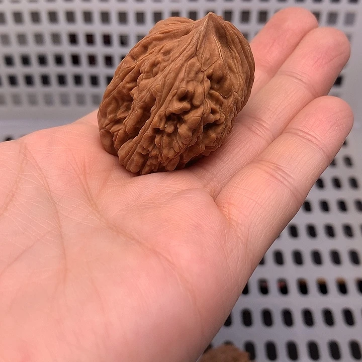 大***鱼文玩核桃吊坠文玩核桃