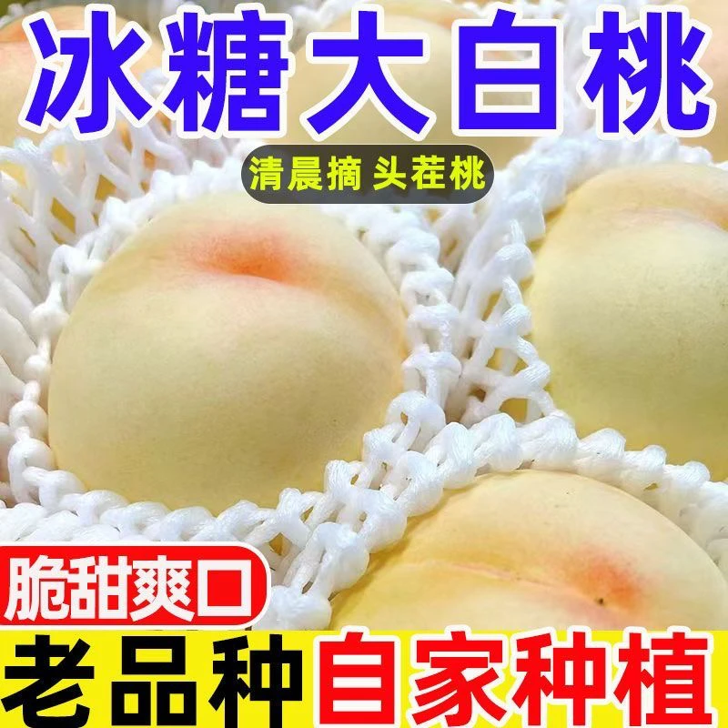 白玉桃新鲜水果当季现摘现发稀有品种夏日尝鲜脆甜净重4.5斤