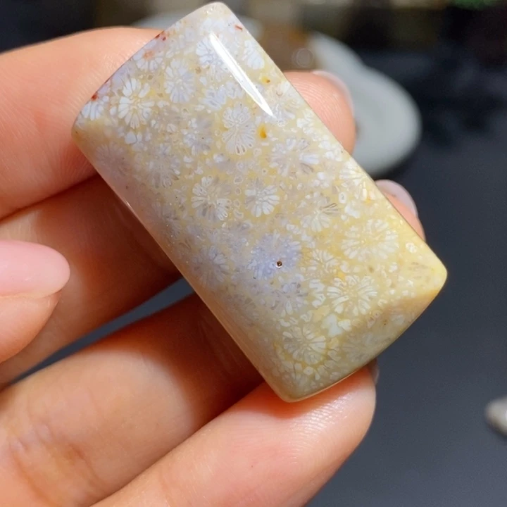 【闪购商品】未镶嵌珊瑚玉硅化玉