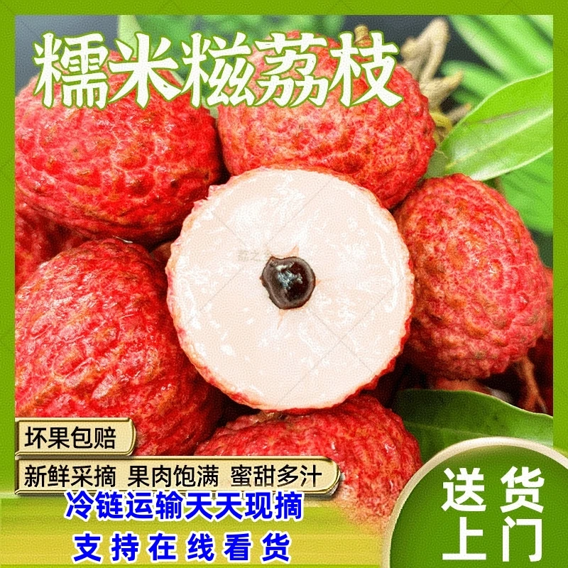 【岭南特产】广东糯米糍荔枝新鲜带枝不泡水1/5斤应季水果礼盒包装