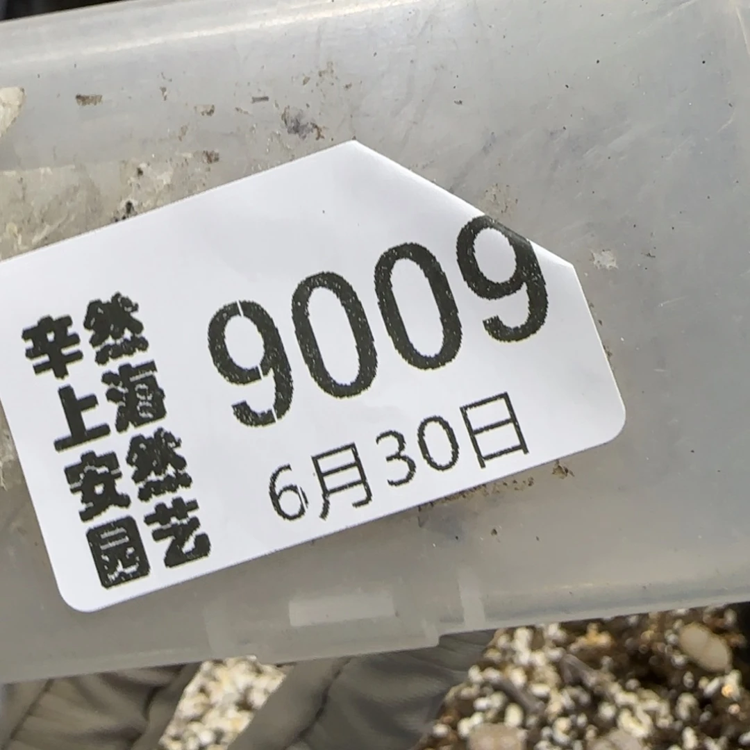 花****6.30。 .6和217。9009
