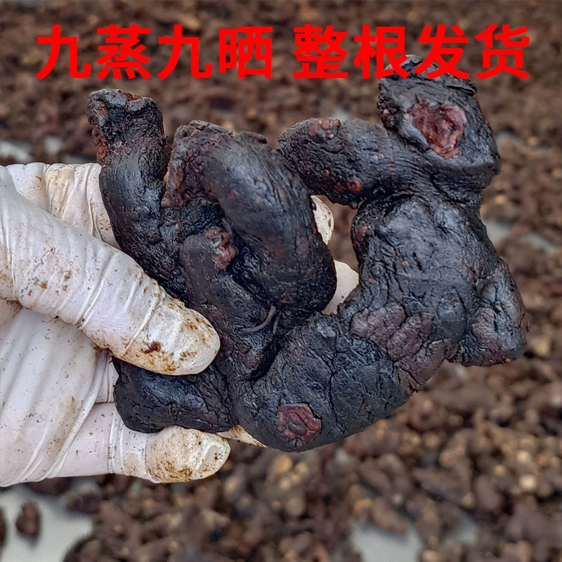 四川正品蜀妙黄精果脯九蒸九制九晒炙熟中药材即食片蒸黄精黄精茶