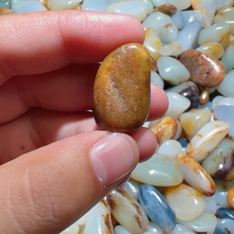 和田玉（糖玉）未镶嵌颈饰8.2克