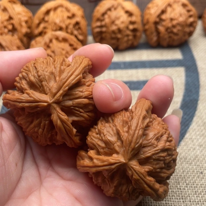 情***）石楠木白狮子43核桃