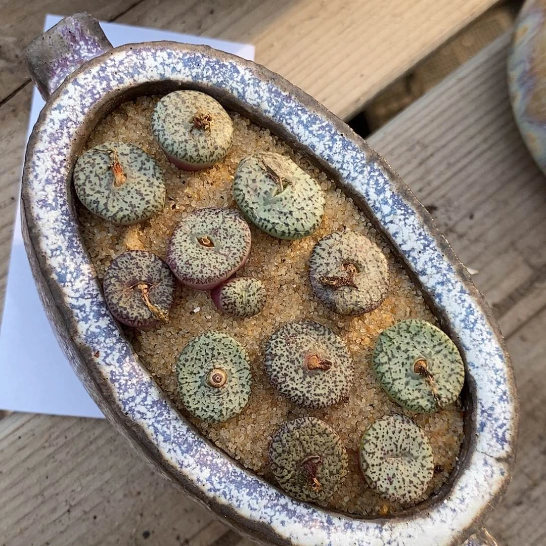 26316。 一组安贞。