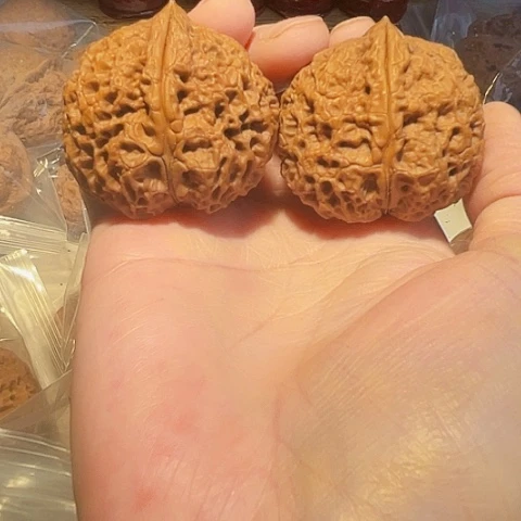 文玩核桃把件王八壳子带彩45