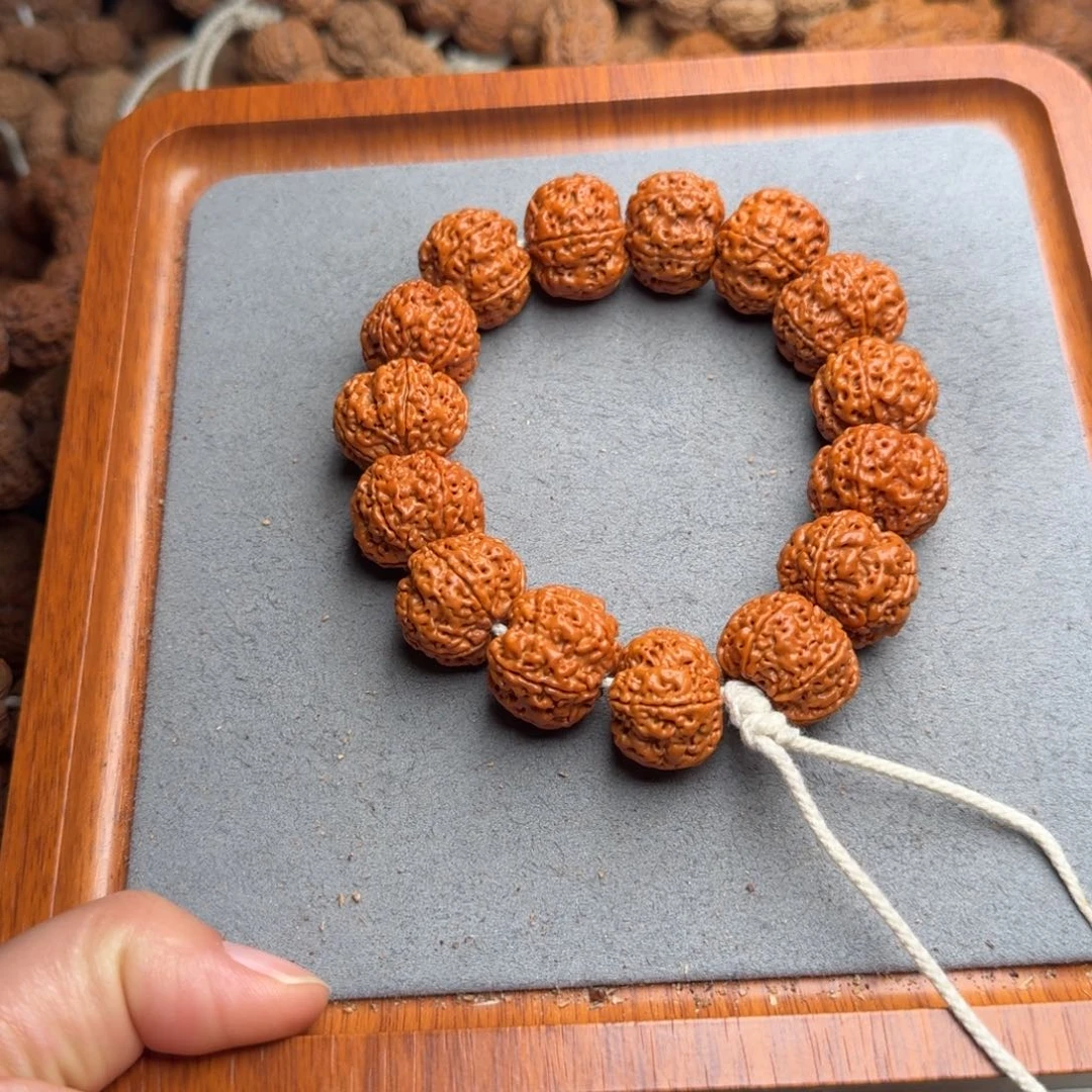 菩提菩提27号尼泊尔大金刚21梅花