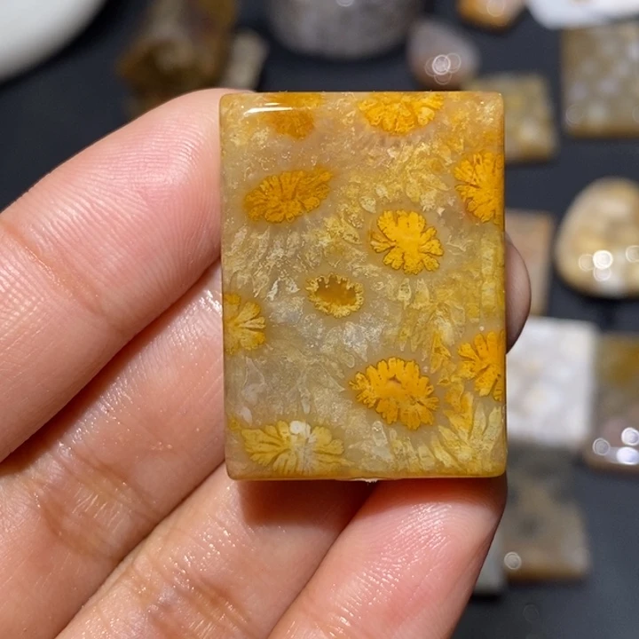 【闪购商品】未镶嵌珊瑚玉硅化玉