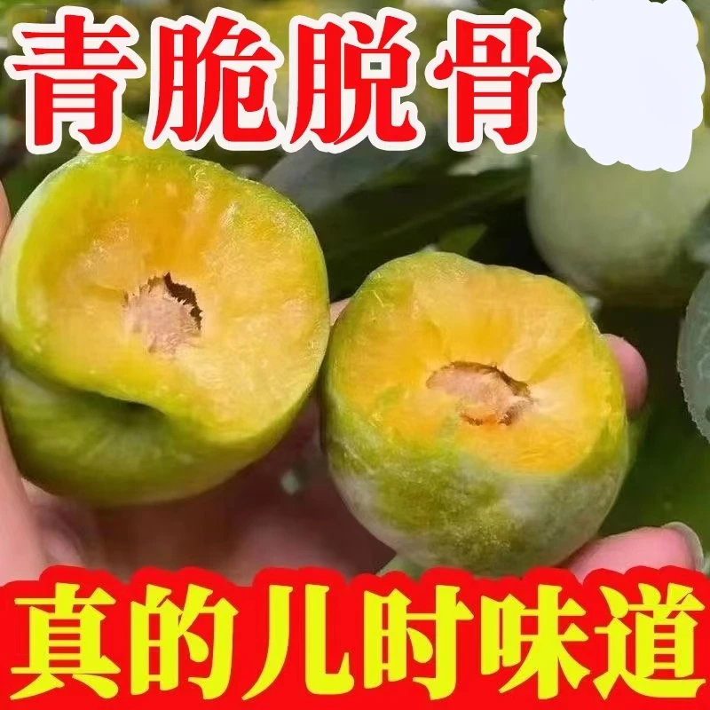 四川贵州青脆脱骨利新鲜应季水果脆甜多汁脱骨 瓜