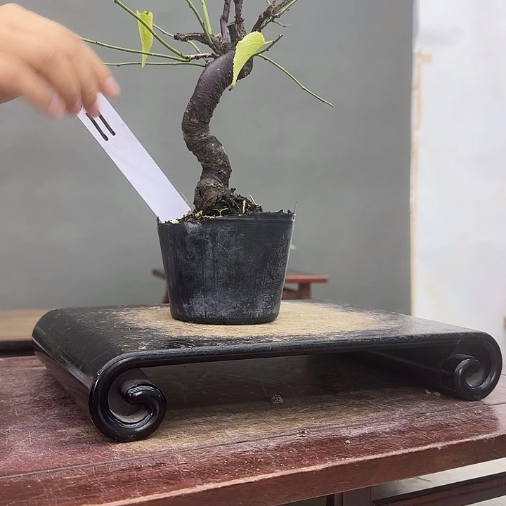 乙***瓶11顺丰到付。