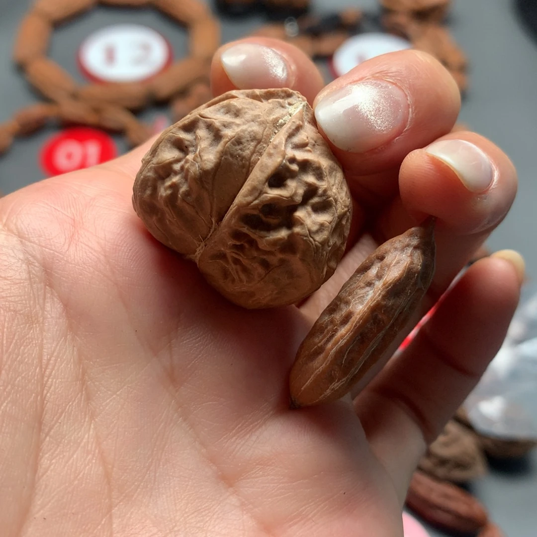 核桃21东北生命缘异型