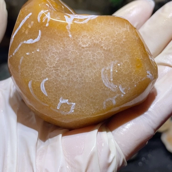 【闪购商品】未镶嵌珊瑚玉硅化玉