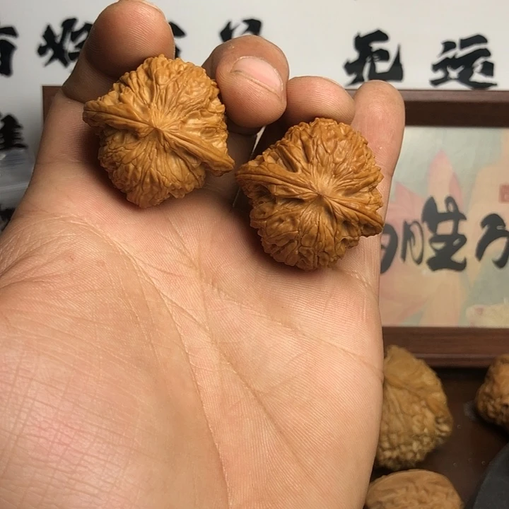 文玩核桃把件37尺寸小正磨