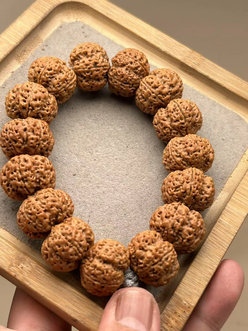 尼泊尔金刚菩提普世十号