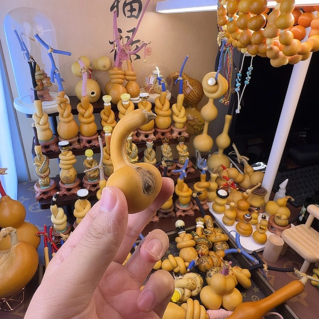 发发发发发发发发发发发