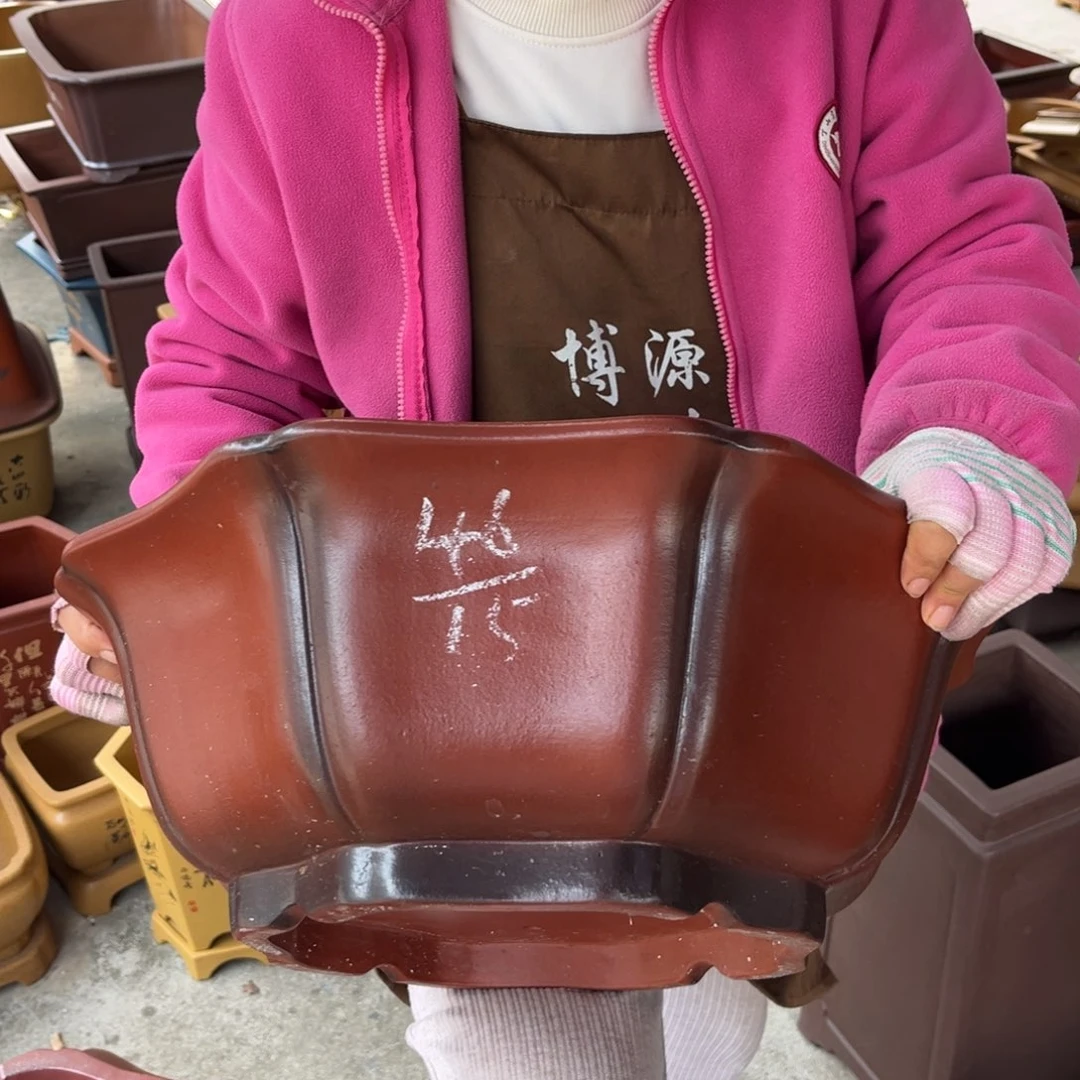 花盆紫砂盆景艺术