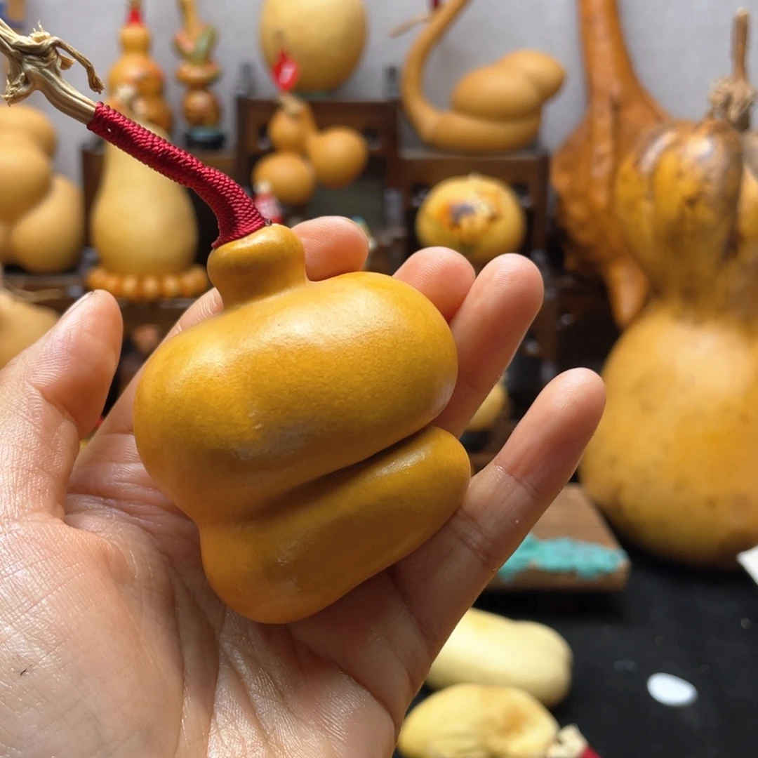 佳*大自然的秘密第十一节课