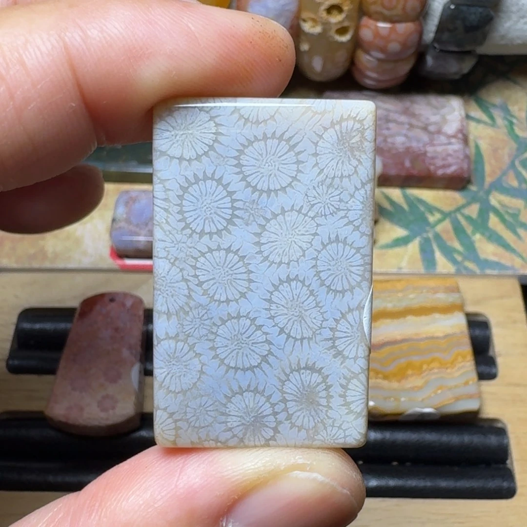 硅化玉天然有机玉石保真色未镶嵌