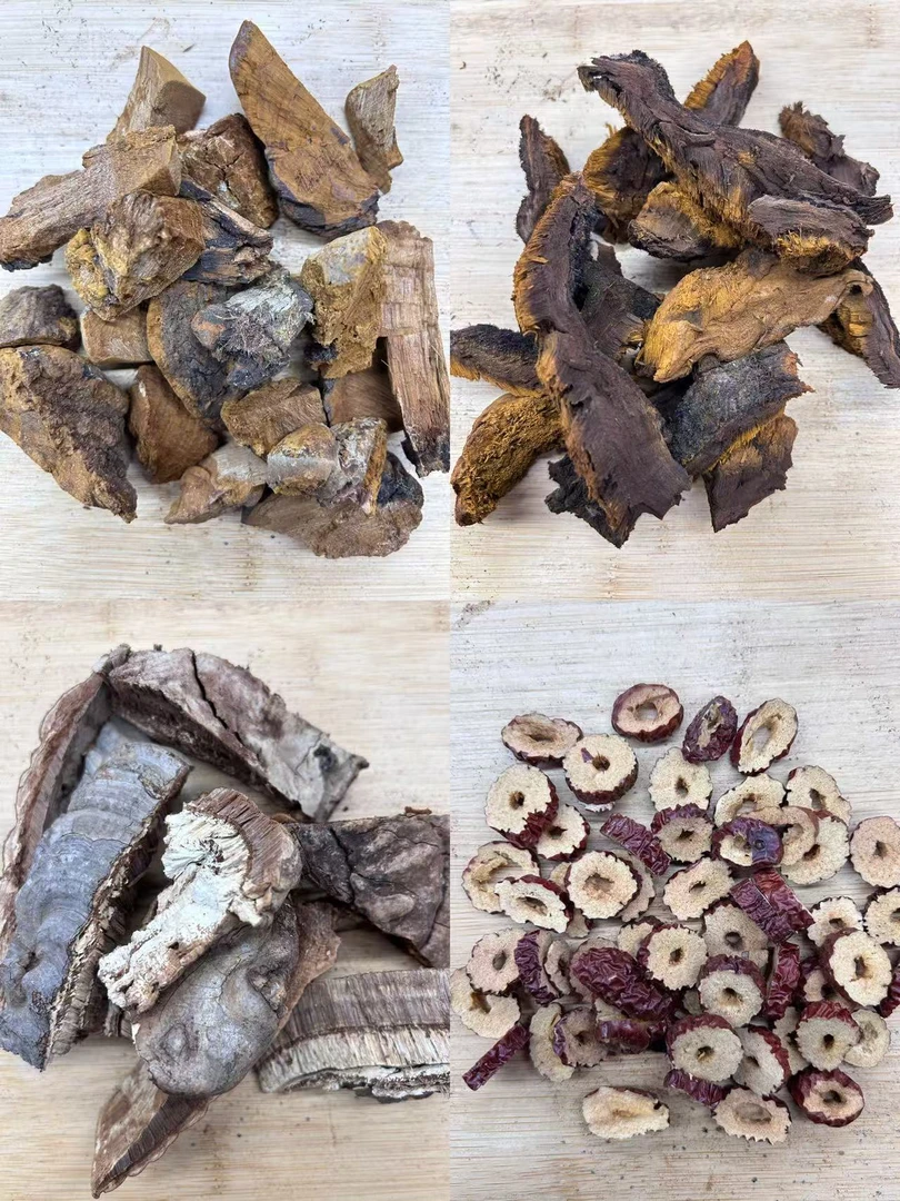 【粗毛桑芝茶】粗毛孔灵芝  桑黄  平盖 可搭配红枣煲汤泡水