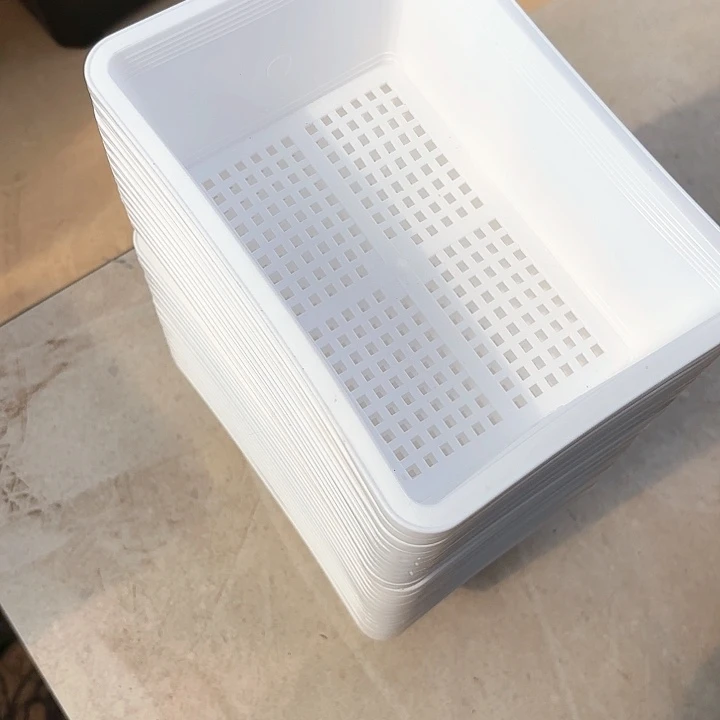 17公分白色育苗盘5个