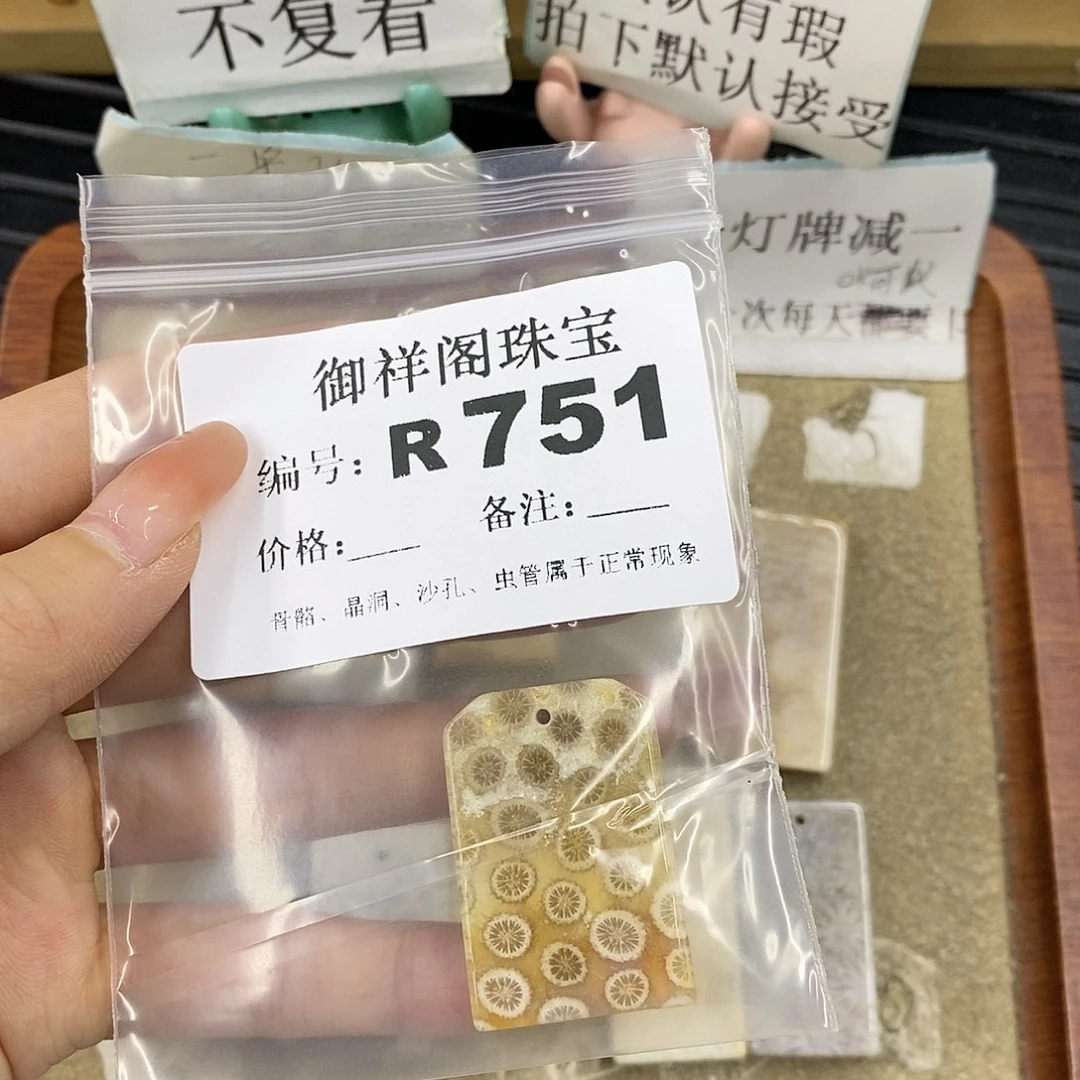 硅化珊瑚（珊瑚玉）未镶嵌颈饰思*