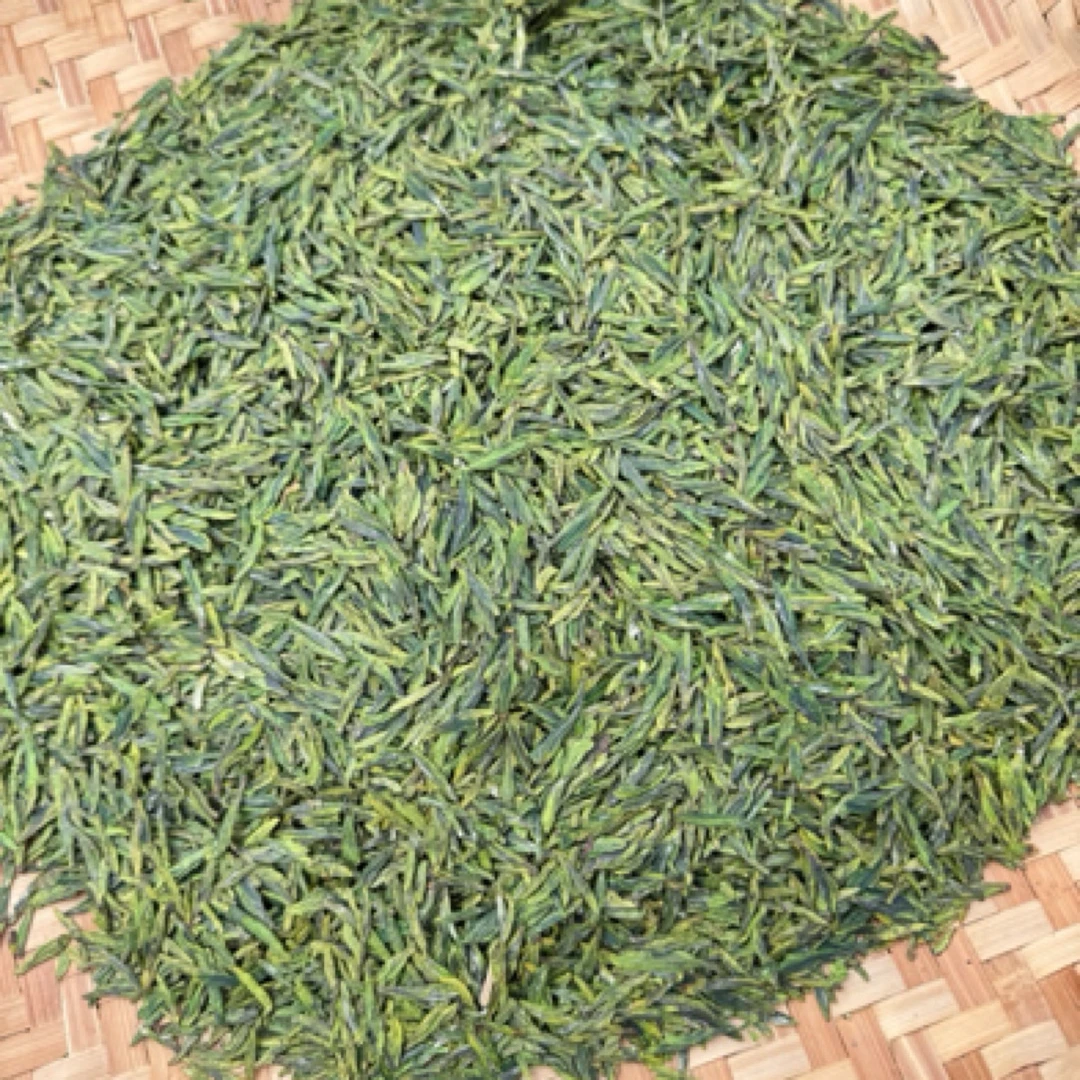 明前茶早茶头三采