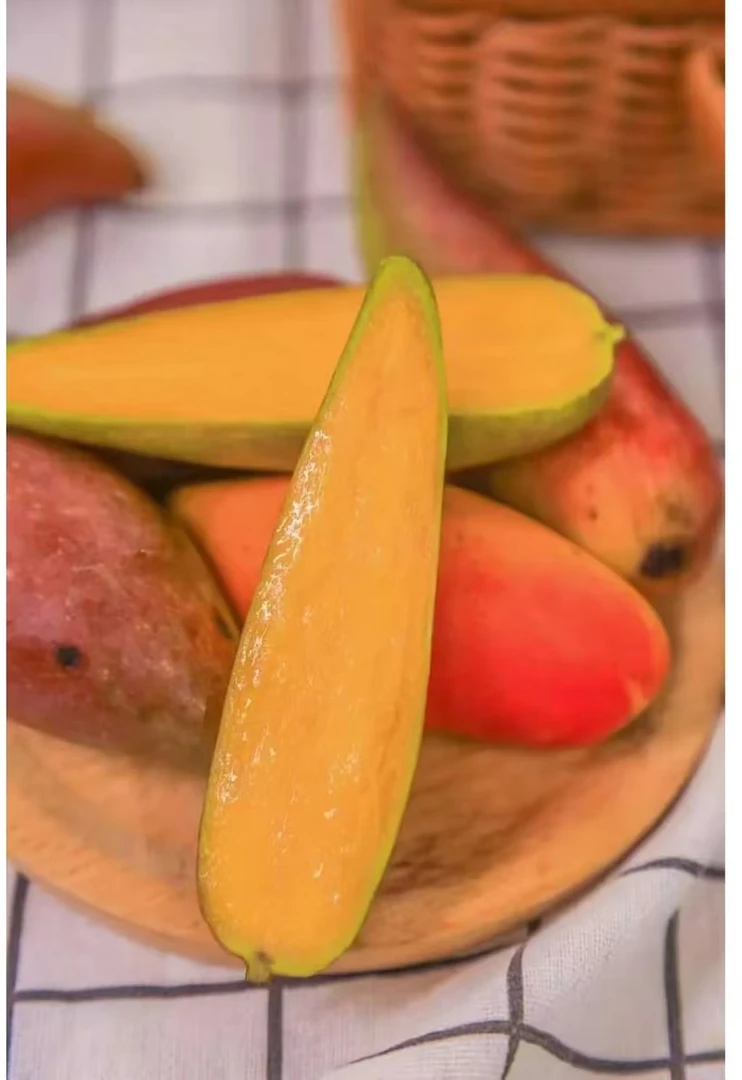 【坏果包赔】海南树熟辣椒芒3斤净果