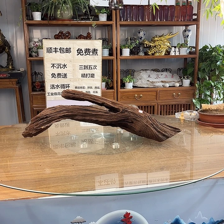 茶杯紫砂夜*一木成景
