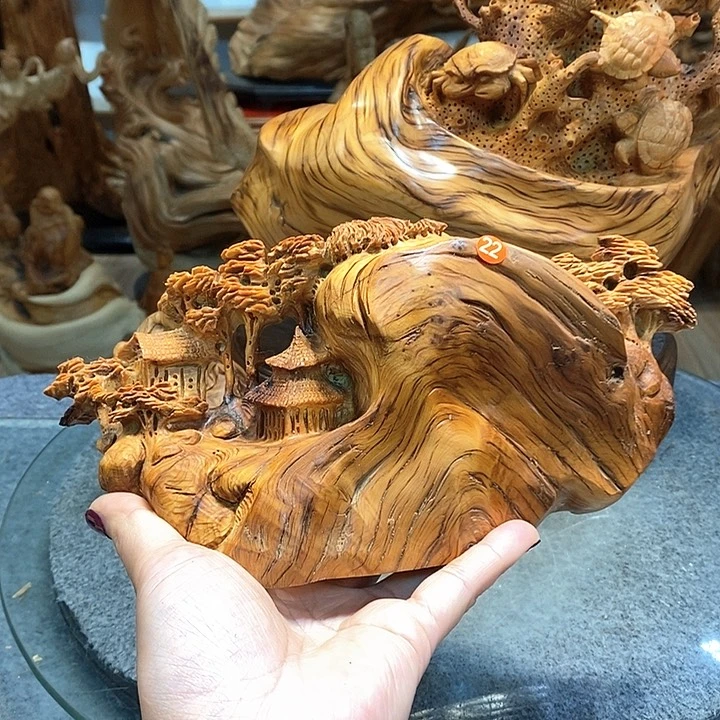 柏木（崖柏）太行崖柏