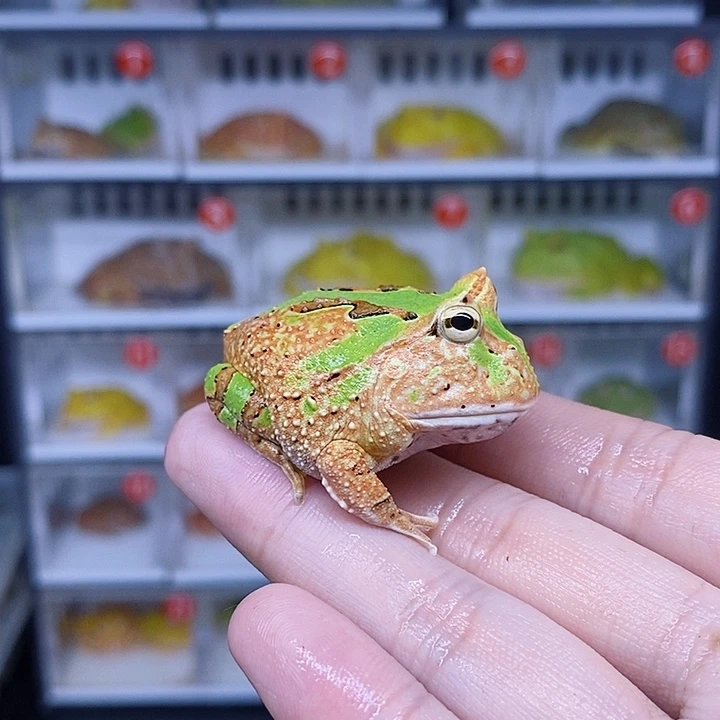 特价秒杀特价活动