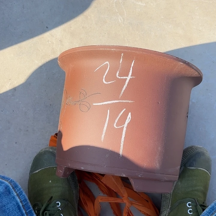 紫砂花瓶紫砂的味道