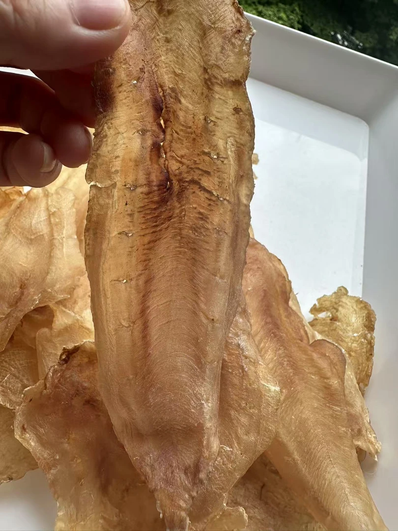 大赤嘴鳘鱼   鱼胶海味   干货营养适合煲汤食用