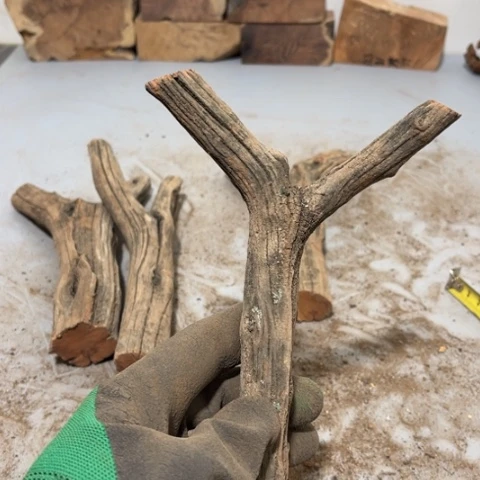 大果紫檀（缅甸花梨）曾***诺