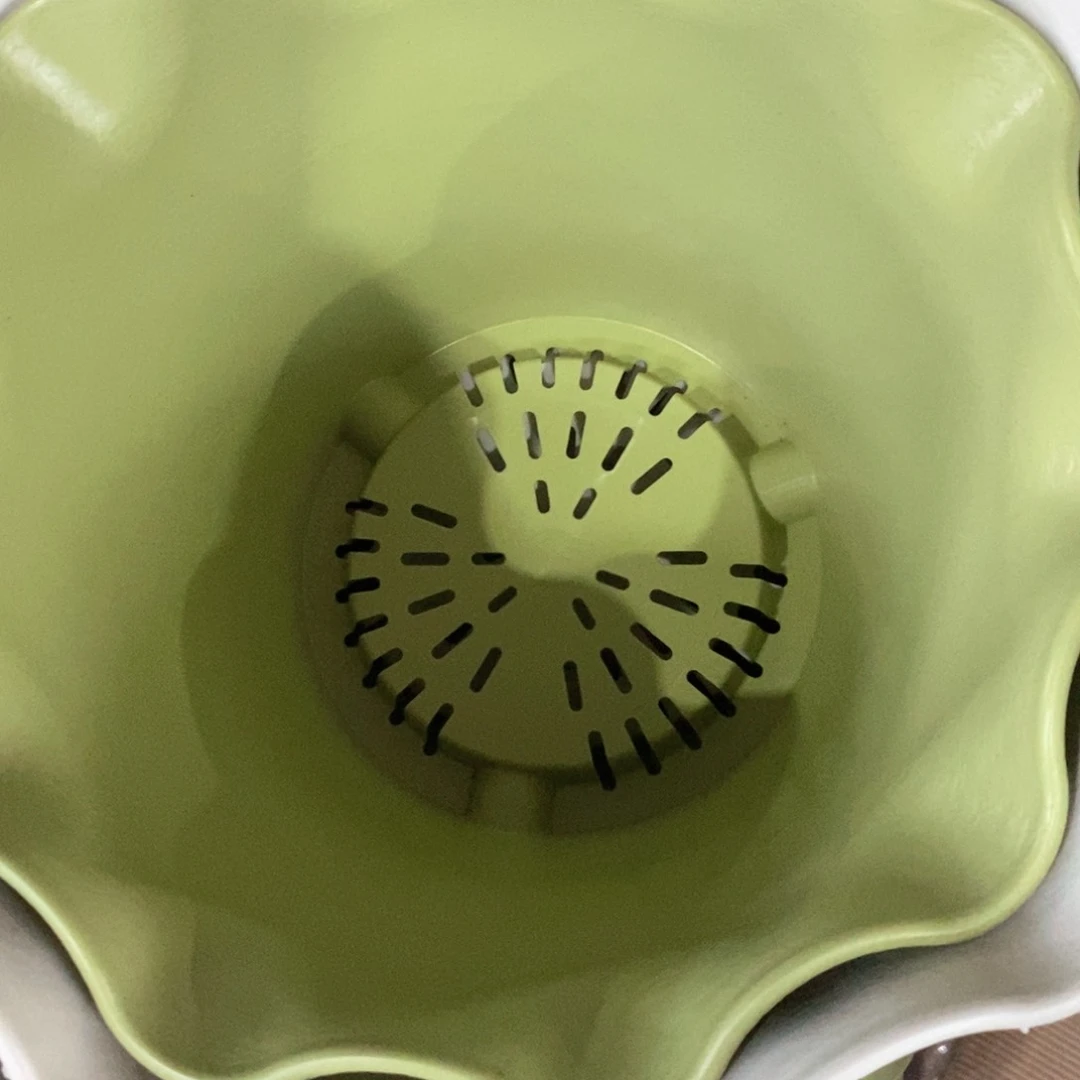 24口荷叶边5米5果绿带托