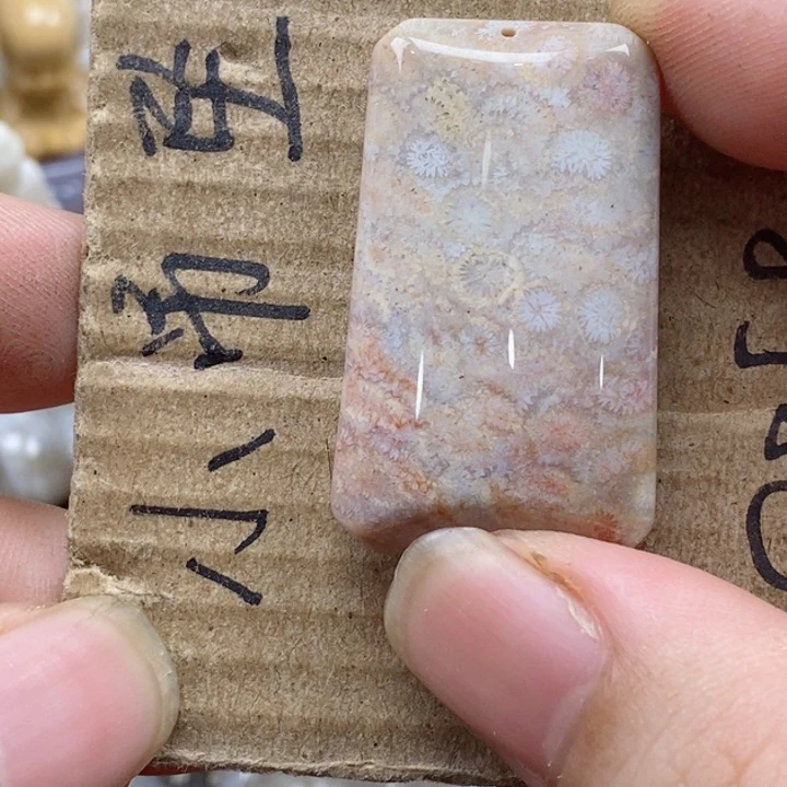 颈饰未镶嵌硅化珊瑚（珊瑚玉）多*