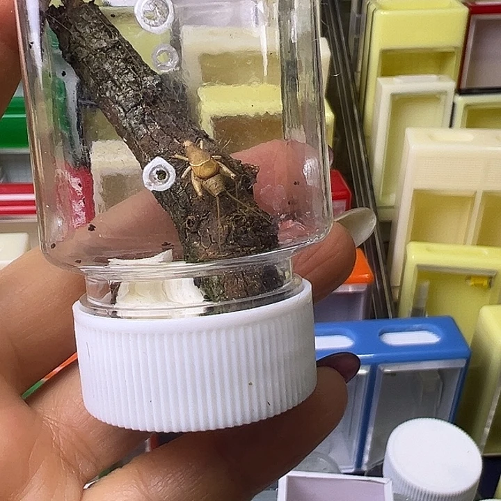 阖***瑞哈哈哈哈哈哈哈哈哈哈哈哈哈