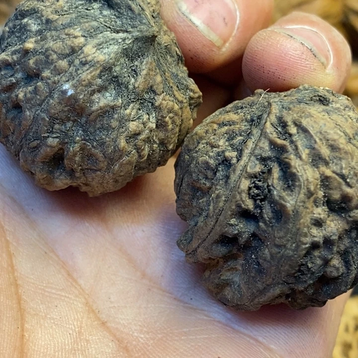 吊坠文玩核桃娜姐199