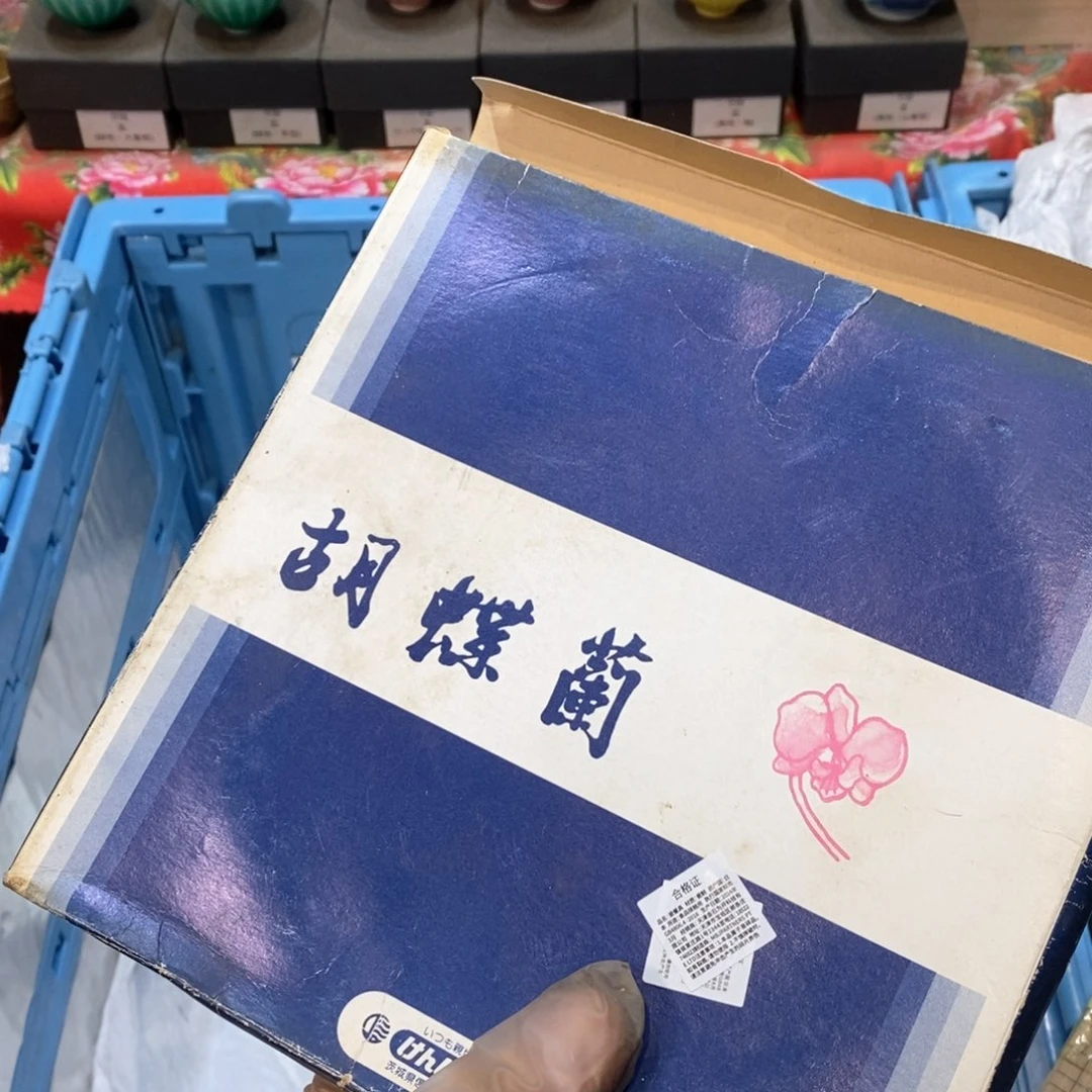 瓷片成**路提高哈哈哈哈哈哈