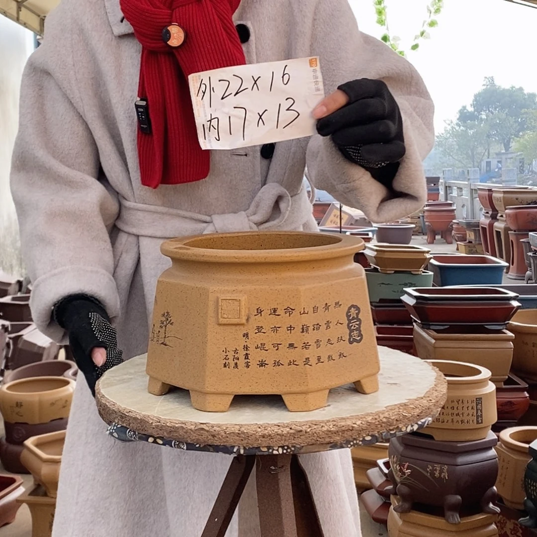 紫砂花盆紫砂花盆