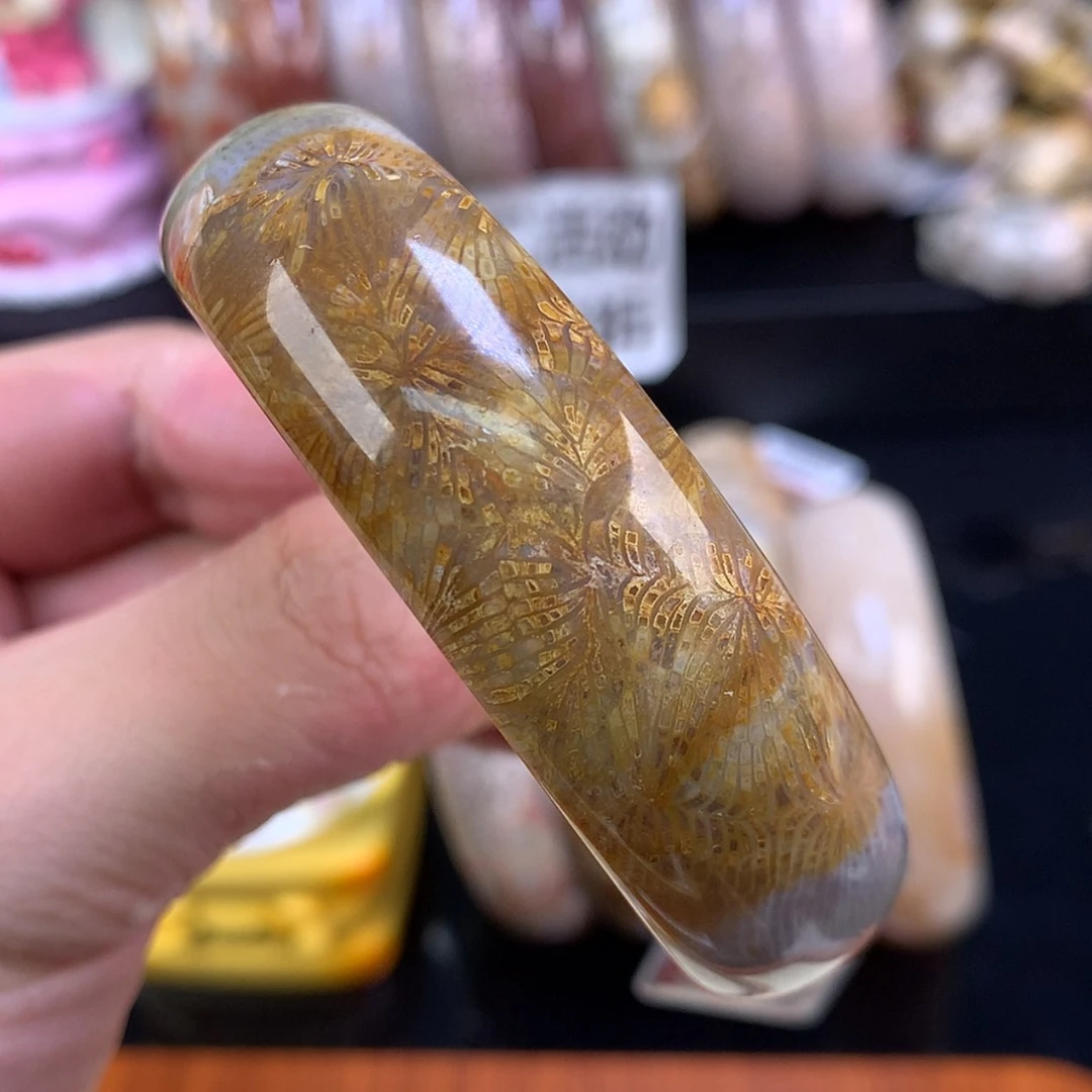 【闪购商品】颈饰未镶嵌硅化珊瑚（珊瑚玉）100号金丝凤尾55.8圈