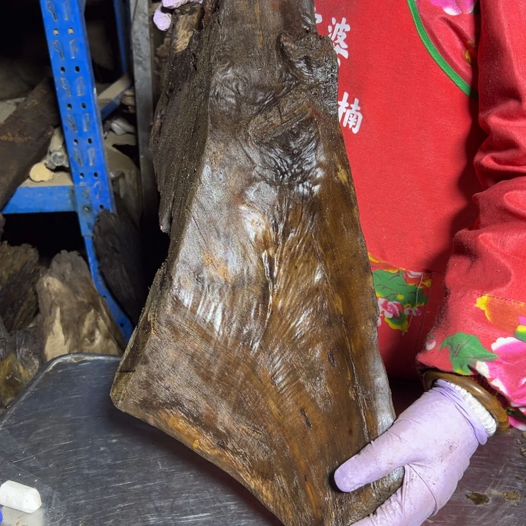 高***~楠木22222222222222222222