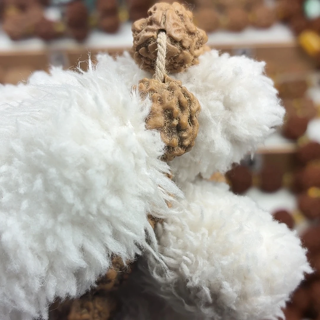 手串金刚菩提收藏版稀有精品3瓣大奔