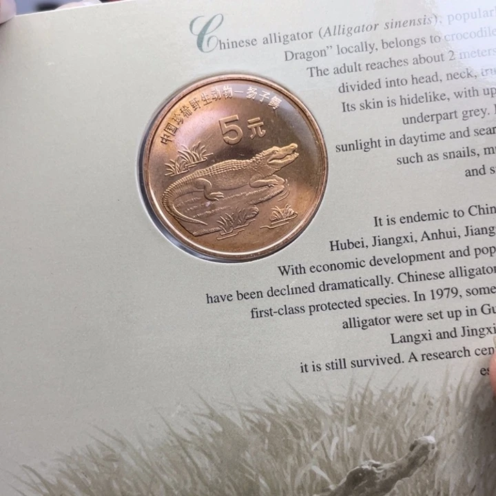 其他普通金属扬子鳄单枚