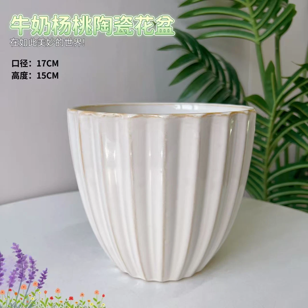 牛奶杨桃小号口17高15轻奢陶瓷花盆龟背竹天堂鸟金钱树茶花通用