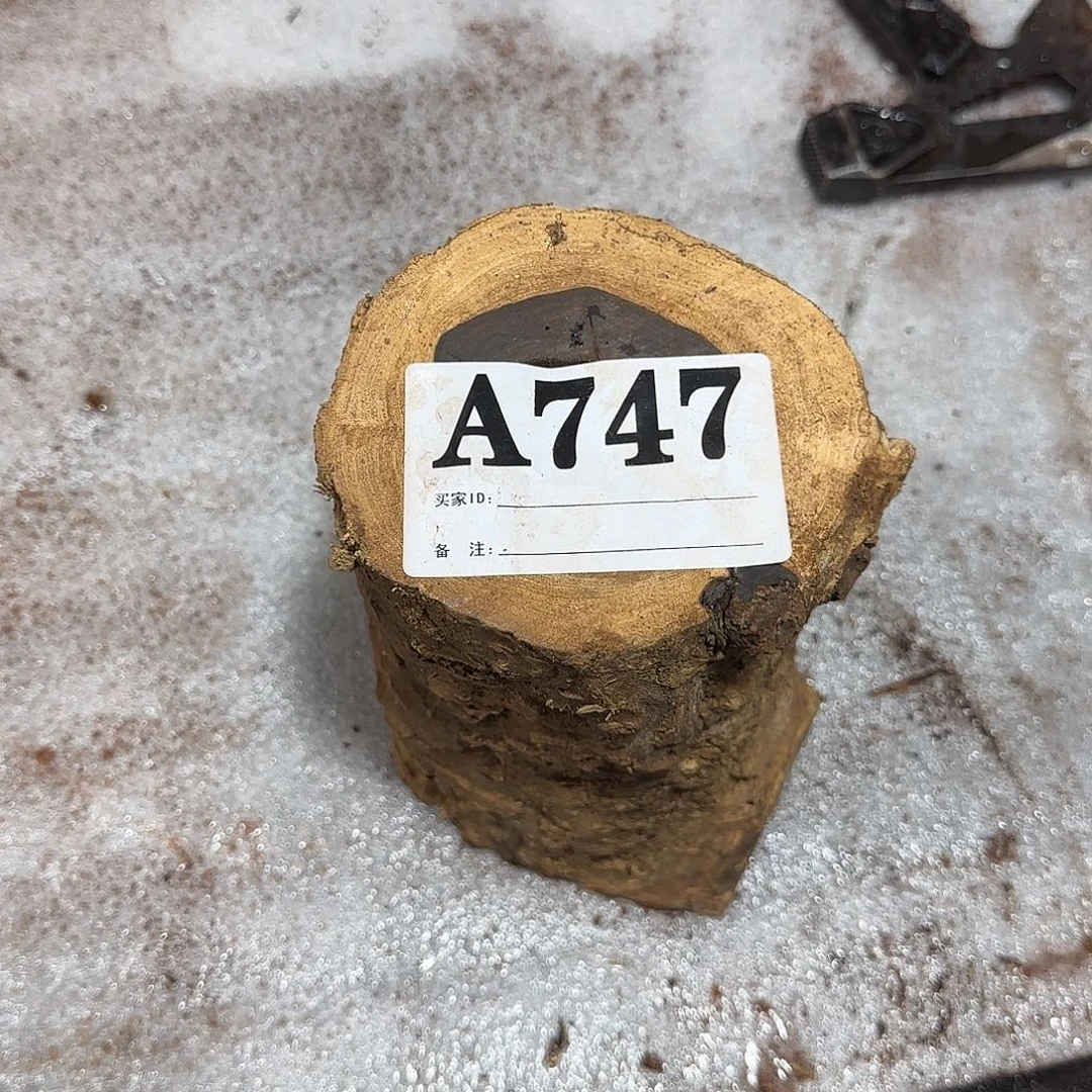 用***3美国沙漠铁木笔筒747