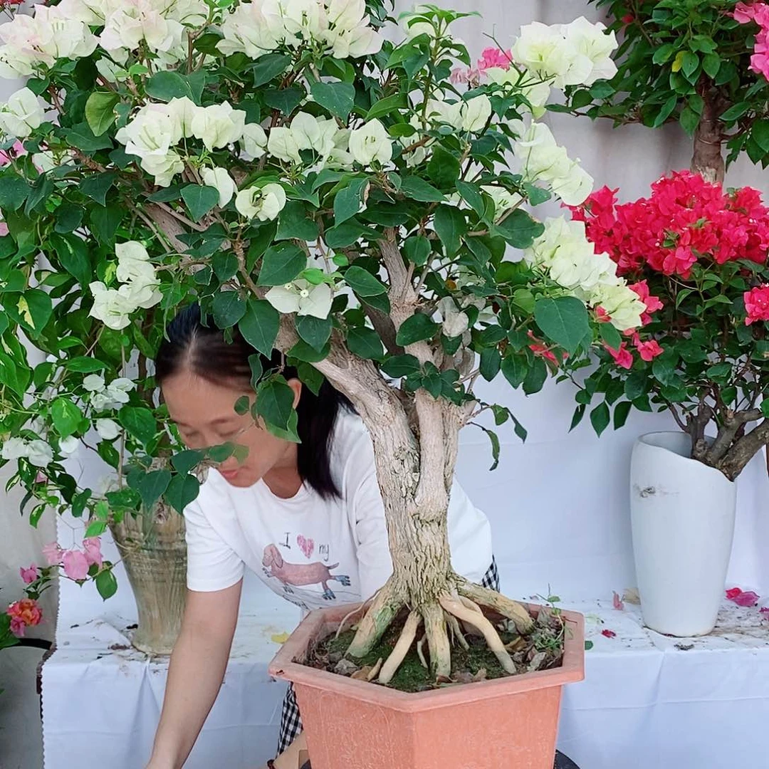 完全开放我们一起努力