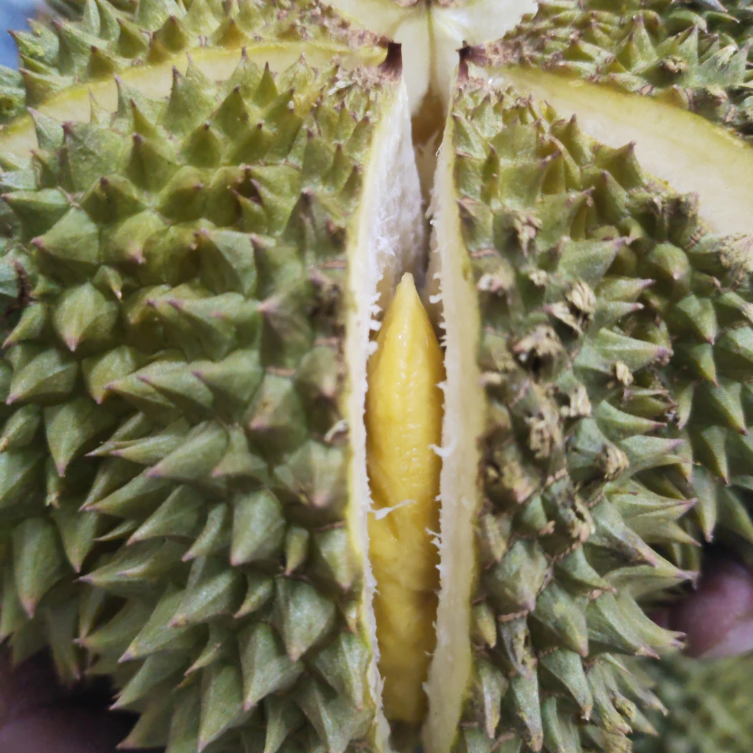 甲仑新鲜榴莲3.72斤核大甲仑泰国