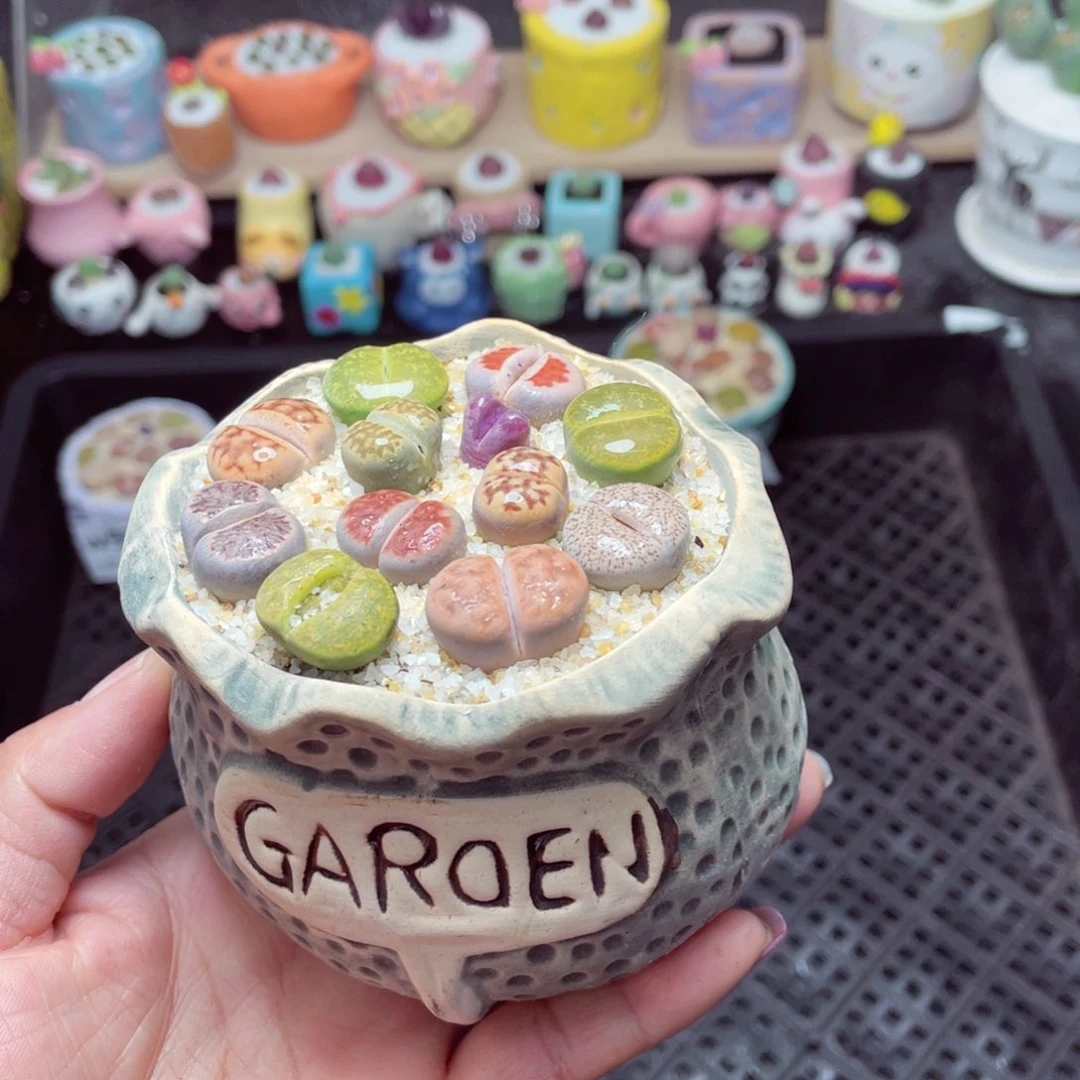 w9289 带盆土发货-零下地区拍保温箱