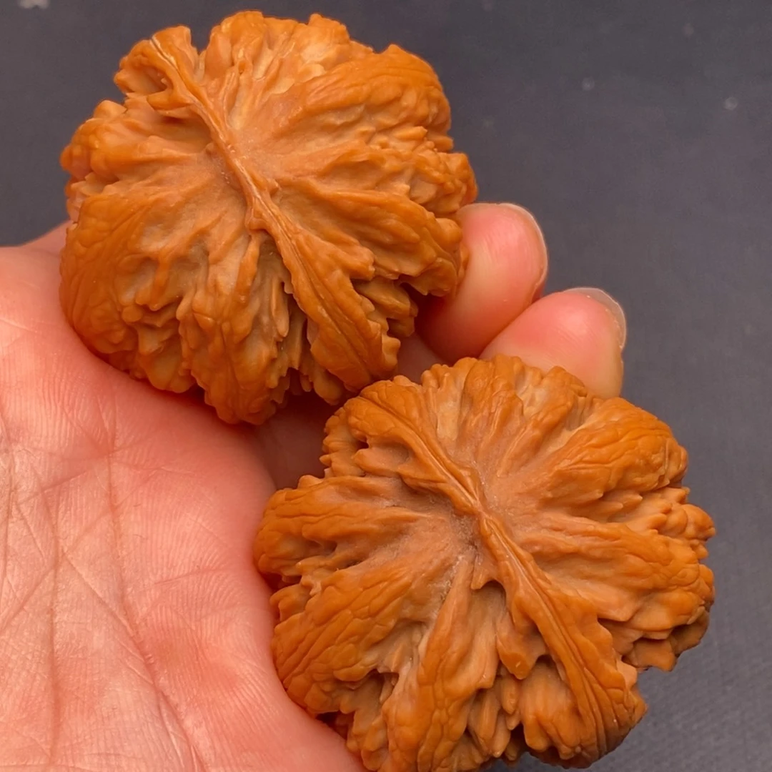 文玩核桃把件秦岭野生核桃